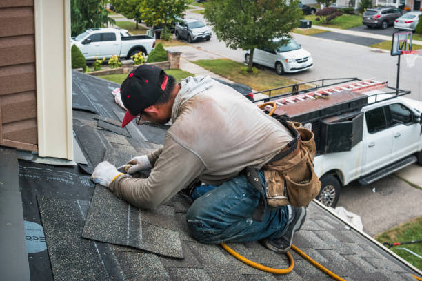 Professional Roofing technician working in Wolfe, WV